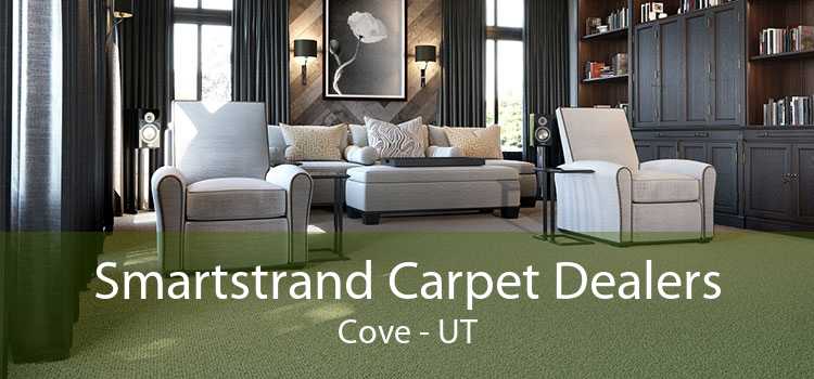 Smartstrand Carpet Dealers Cove - UT