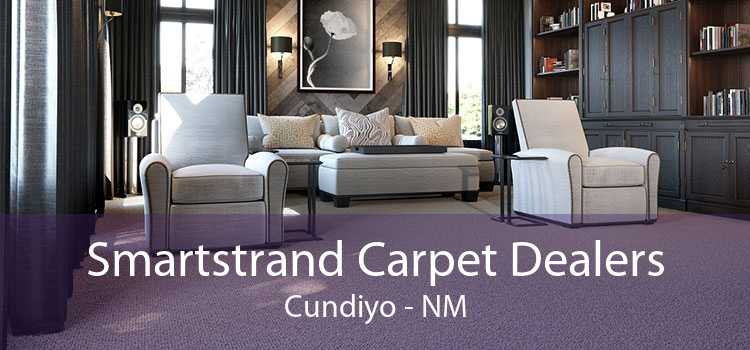Smartstrand Carpet Dealers Cundiyo - NM