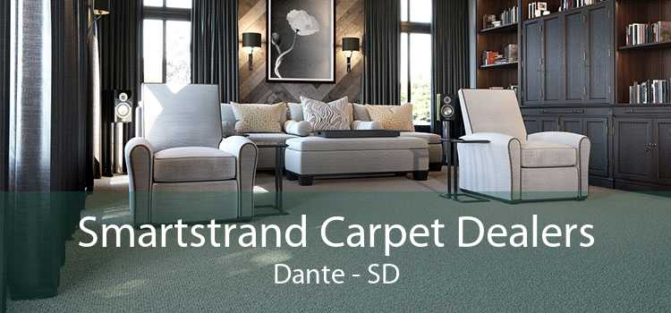 Smartstrand Carpet Dealers Dante - SD