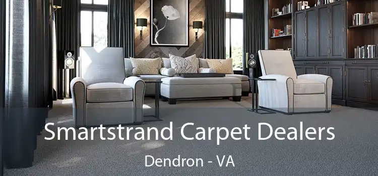  Smartstrand Carpet Dealers Dendron - VA