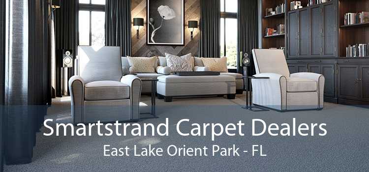 Smartstrand Carpet Dealers East Lake Orient Park - FL