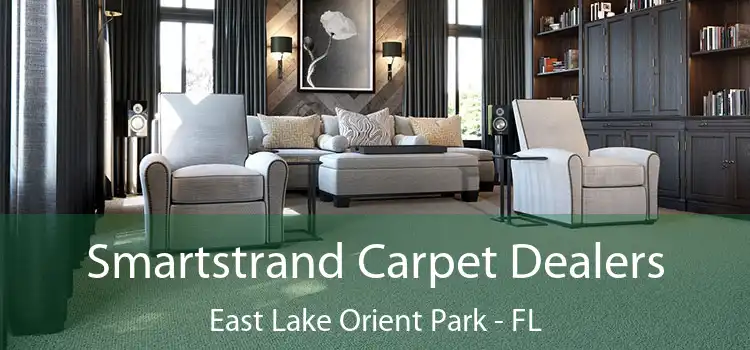  Smartstrand Carpet Dealers East Lake Orient Park - FL