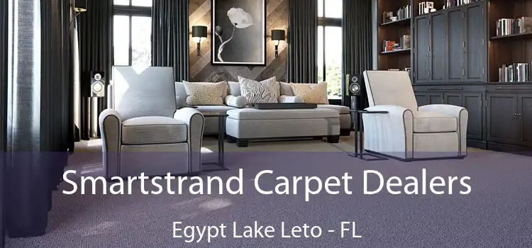 Smartstrand Carpet Dealers Egypt Lake Leto - FL