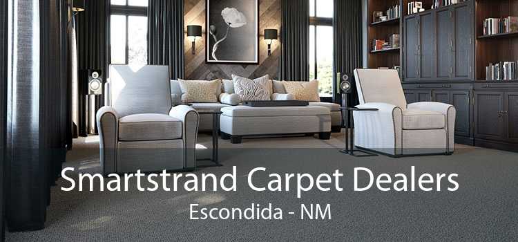 Smartstrand Carpet Dealers Escondida - NM