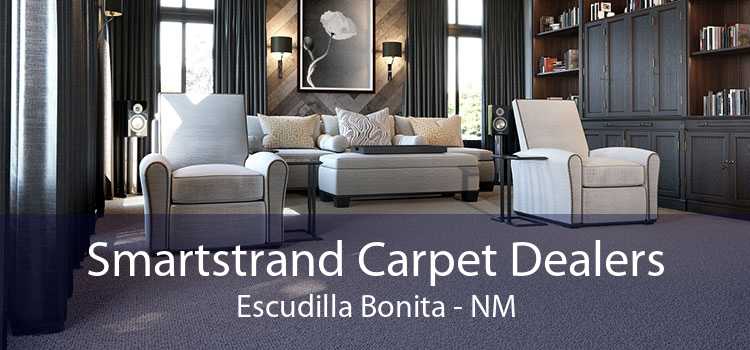 Smartstrand Carpet Dealers Escudilla Bonita - NM