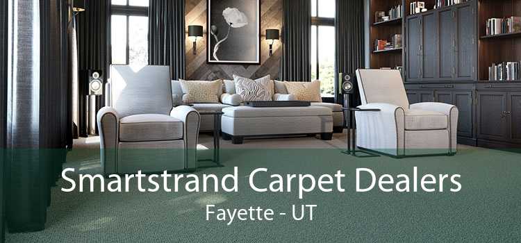 Smartstrand Carpet Dealers Fayette - UT