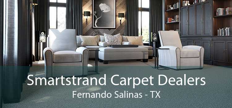Smartstrand Carpet Dealers Fernando Salinas - TX