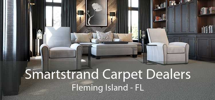 Smartstrand Carpet Dealers Fleming Island - FL