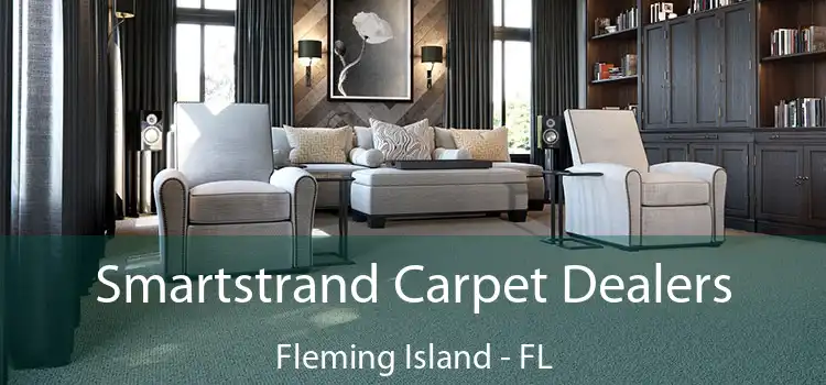  Smartstrand Carpet Dealers Fleming Island - FL