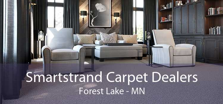 Smartstrand Carpet Dealers Forest Lake - MN