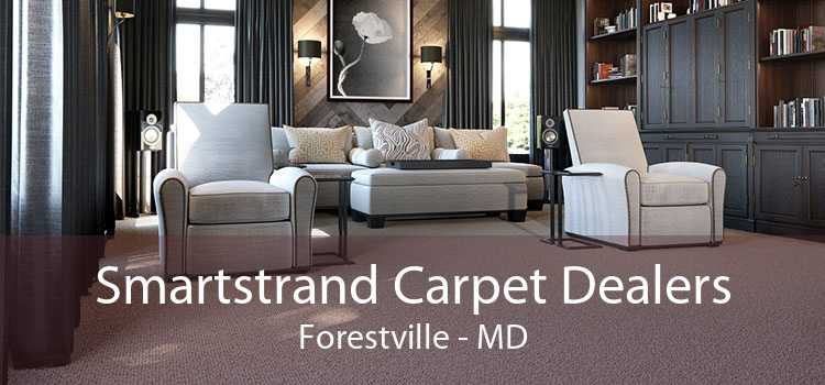 Smartstrand Carpet Dealers Forestville - MD