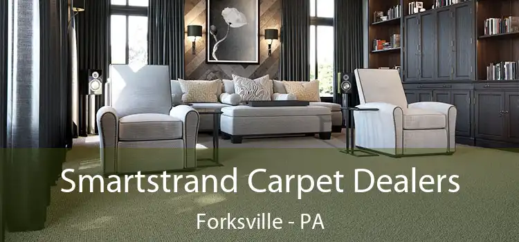  Smartstrand Carpet Dealers Forksville - PA