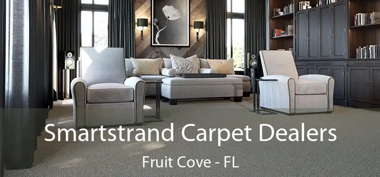  Smartstrand Carpet Dealers Fruit Cove - FL
