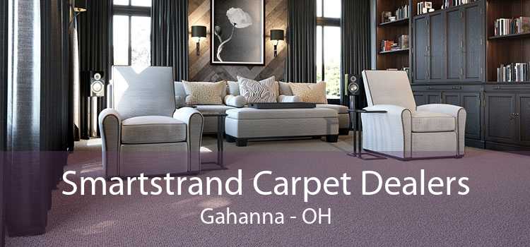 Smartstrand Carpet Dealers Gahanna - OH