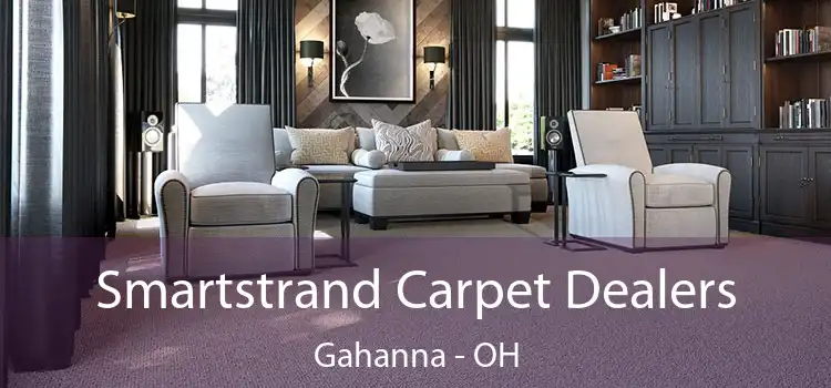  Smartstrand Carpet Dealers Gahanna - OH