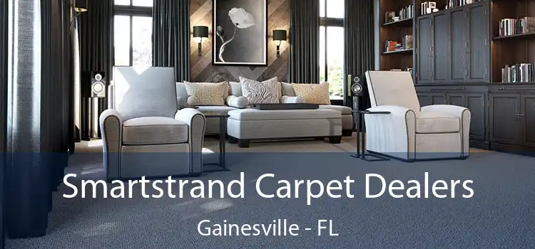  Smartstrand Carpet Dealers Gainesville - FL