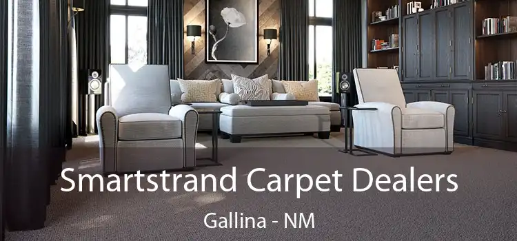  Smartstrand Carpet Dealers Gallina - NM