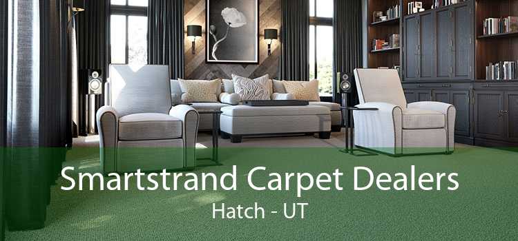 Smartstrand Carpet Dealers Hatch - UT
