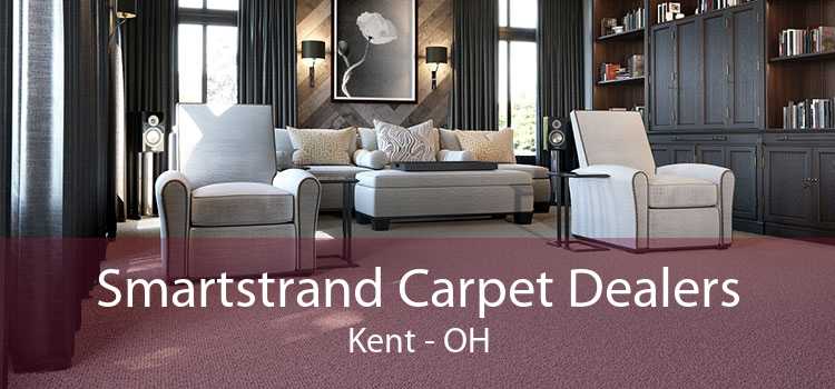 Smartstrand Carpet Dealers Kent - OH