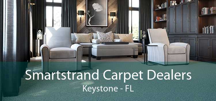 Smartstrand Carpet Dealers Keystone - FL