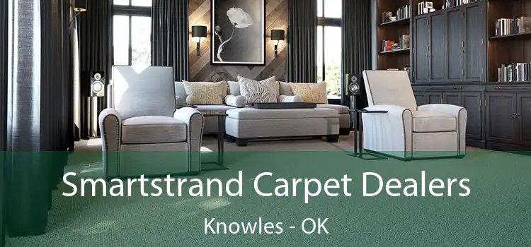  Smartstrand Carpet Dealers Knowles - OK