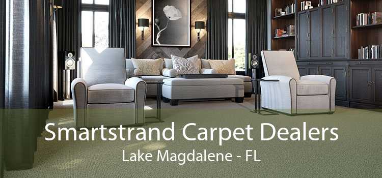 Smartstrand Carpet Dealers Lake Magdalene - FL