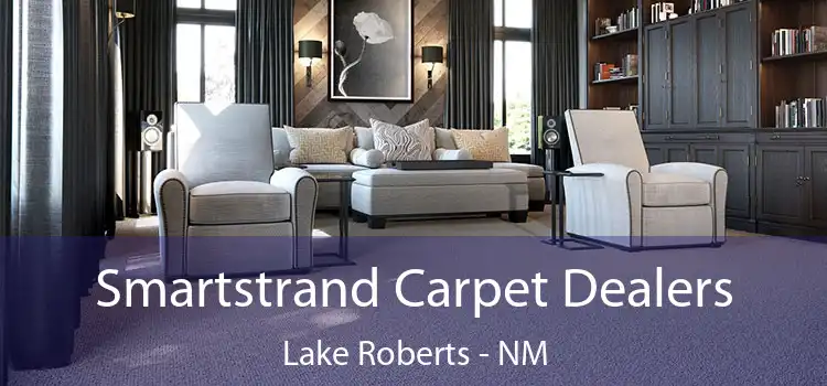  Smartstrand Carpet Dealers Lake Roberts - NM