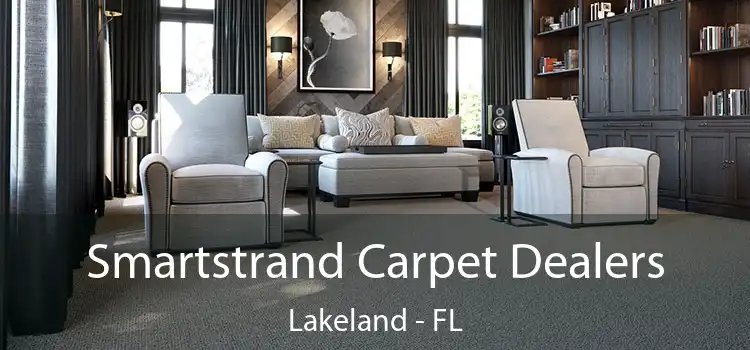  Smartstrand Carpet Dealers Lakeland - FL