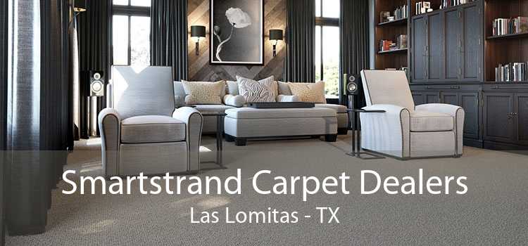 Smartstrand Carpet Dealers Las Lomitas - TX