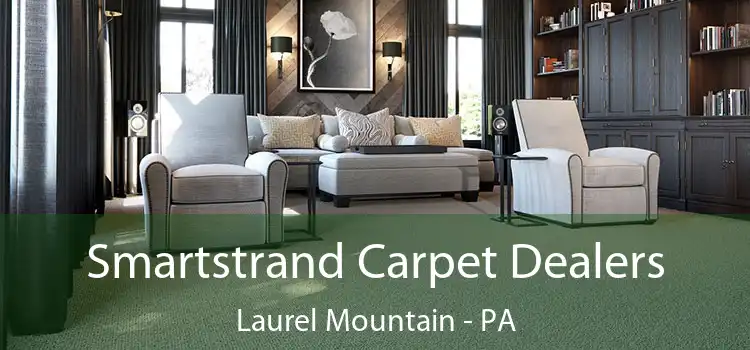  Smartstrand Carpet Dealers Laurel Mountain - PA