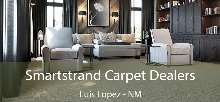  Smartstrand Carpet Dealers Luis Lopez - NM