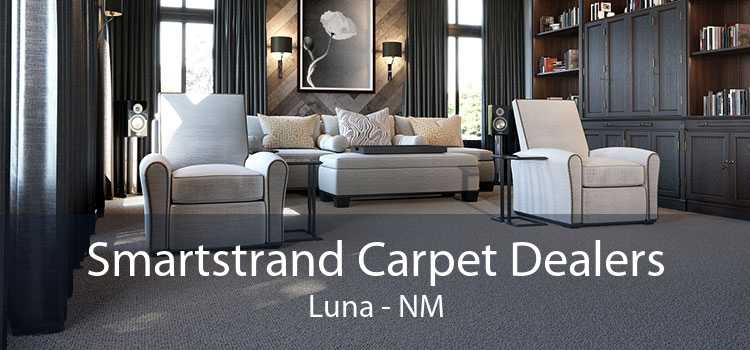 Smartstrand Carpet Dealers Luna - NM