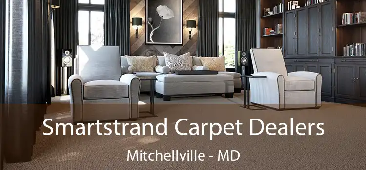 Smartstrand Carpet Dealers Mitchellville - MD