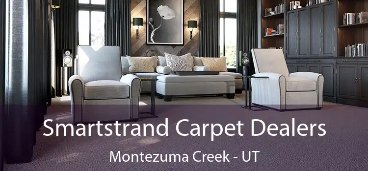  Smartstrand Carpet Dealers Montezuma Creek - UT