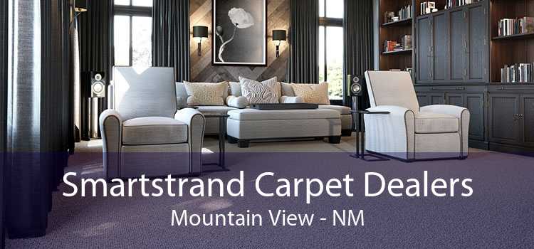 Smartstrand Carpet Dealers Mountain View - NM
