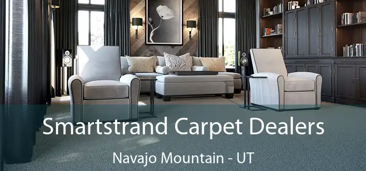  Smartstrand Carpet Dealers Navajo Mountain - UT