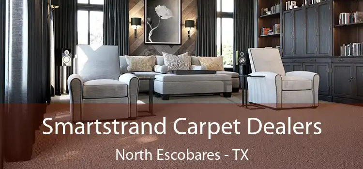  Smartstrand Carpet Dealers North Escobares - TX