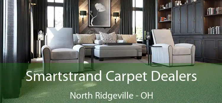  Smartstrand Carpet Dealers North Ridgeville - OH