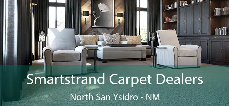 Smartstrand Carpet Dealers North San Ysidro - NM