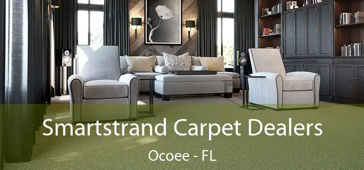  Smartstrand Carpet Dealers Ocoee - FL
