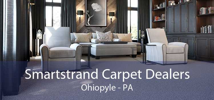 Smartstrand Carpet Dealers Ohiopyle - PA