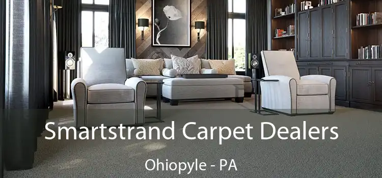 Smartstrand Carpet Dealers Ohiopyle - PA