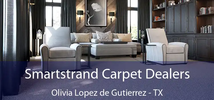  Smartstrand Carpet Dealers Olivia Lopez de Gutierrez - TX