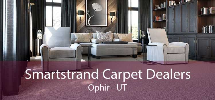 Smartstrand Carpet Dealers Ophir - UT