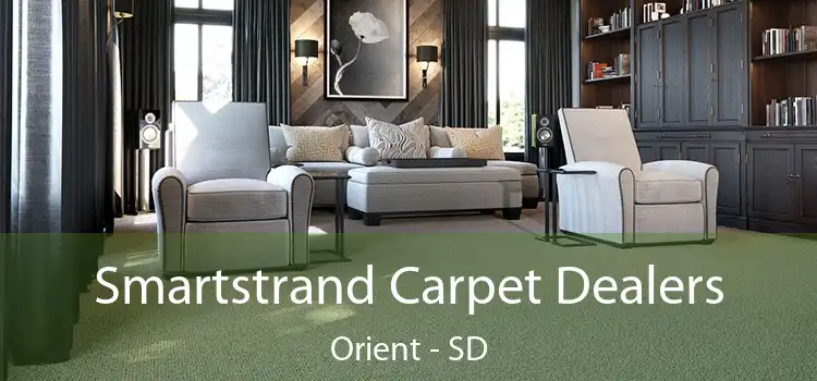  Smartstrand Carpet Dealers Orient - SD
