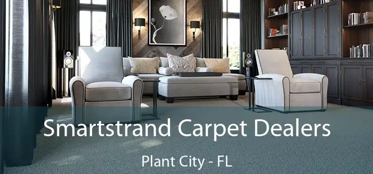 Smartstrand Carpet Dealers Plant City - FL