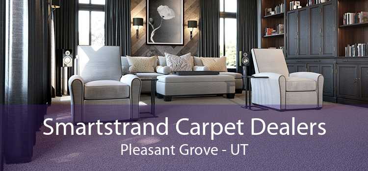 Smartstrand Carpet Dealers Pleasant Grove - UT