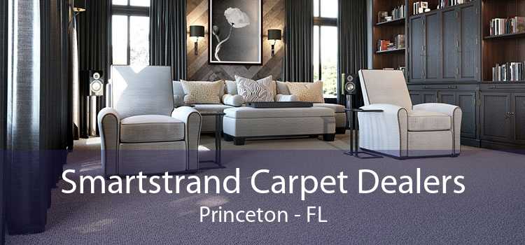 Smartstrand Carpet Dealers Princeton - FL