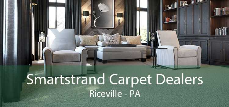 Smartstrand Carpet Dealers Riceville - PA
