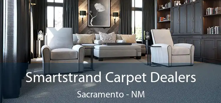  Smartstrand Carpet Dealers Sacramento - NM